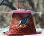 CARDINAL FEEDER for Science and Nature from Le Naturaliste