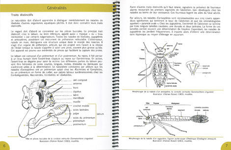 NAÏADES ET EXUVIES DES LIBELLULES DU QUÉBEC for Science and Nature from Le Naturaliste