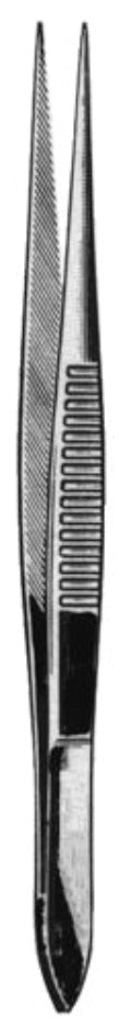 SPLINTER FORCEPS, STRAIGHT for Science and Nature from Le Naturaliste
