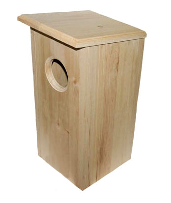 NORTHERN SAW-WHET OWL for Science and Nature from Le Naturaliste