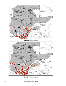 GUIDE D'IDENTIFICATION DES PUNAISES À BOUCLIER DU QUÉBEC for Science and Nature from Le Naturaliste
