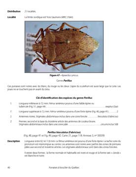 GUIDE D'IDENTIFICATION DES PUNAISES À BOUCLIER DU QUÉBEC for Science and Nature from Le Naturaliste