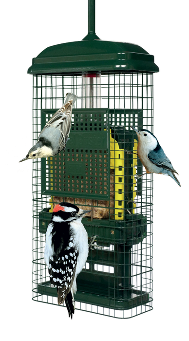 SQUIRREL BUSTER SUET for Science and Nature from Le Naturaliste