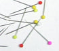PLASTIC HEADED PINS PCK/100 for Science and Nature from Le Naturaliste