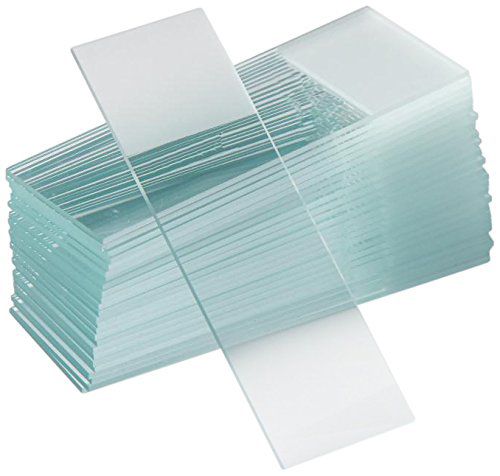 FROSTED GLASS MICROSCOPE SLIDES for Science and Nature from Le Naturaliste