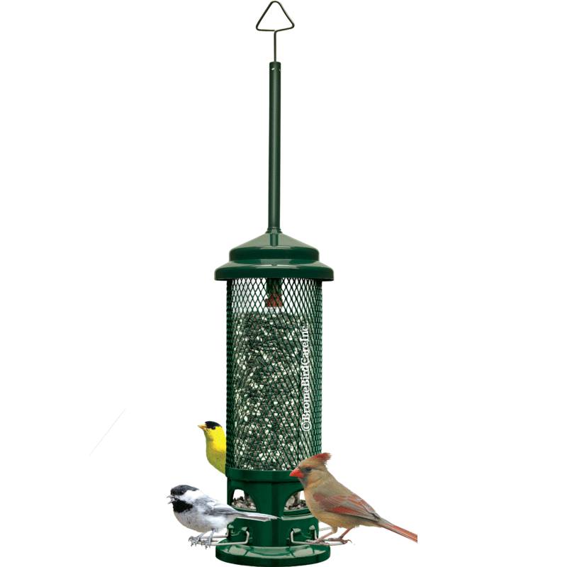 SQUIRREL BUSTER LEGACY for Science and Nature from Le Naturaliste