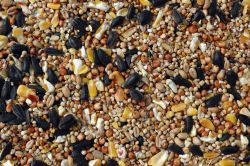 MIXED BIRD SEEDS, 2KG for Science and Nature from Le Naturaliste