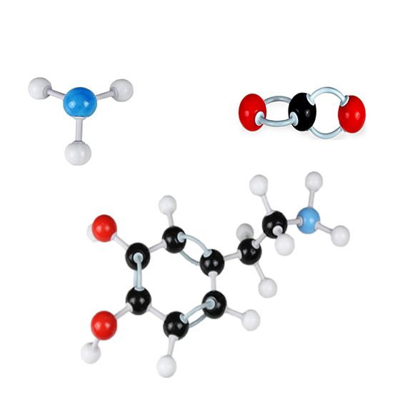 MOLECULAR MODEL for Science and Nature from Le Naturaliste