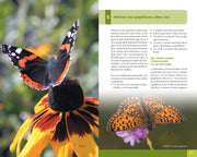 PAPILLONS ET CHENILLES DU QUÉBEC ET DES MARITIMES for Science and Nature from Le Naturaliste