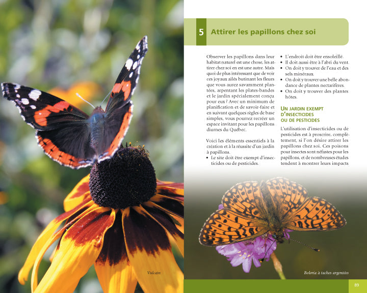 PAPILLONS ET CHENILLES DU QUÉBEC ET DES MARITIMES for Science and Nature from Le Naturaliste
