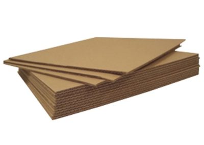 CARDBOARD 11''X17'' for Science and Nature from Le Naturaliste
