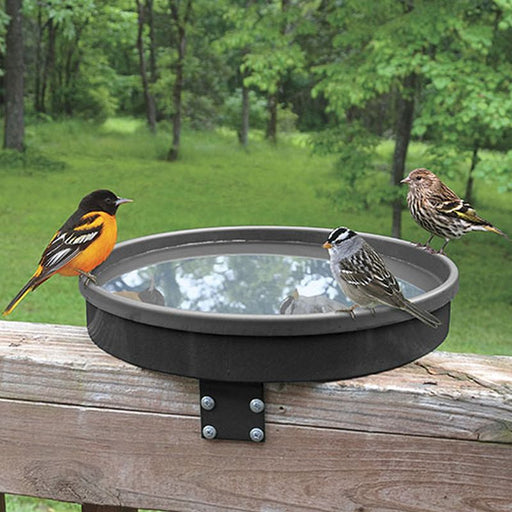 3-In-1 Heated Birdbath Terra Cotta/Black for Science and Nature from Le Naturaliste