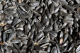 BLACK SUNFLOWER SEEDS, 1.8KG for Science and Nature from Le Naturaliste